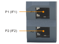 x20_2x_rj45_ports_-_p1_p2